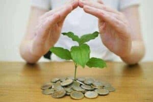 Pilha de moedas criando uma árvore para simbolizar o tema gestão financeira