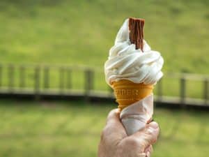 imagem de uma mão segurando uma casquinha de sorvete representando a franquia chiquinho sorvetes