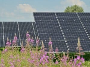 Placa de energia solar o que é, valor e melhores marcas em 2023